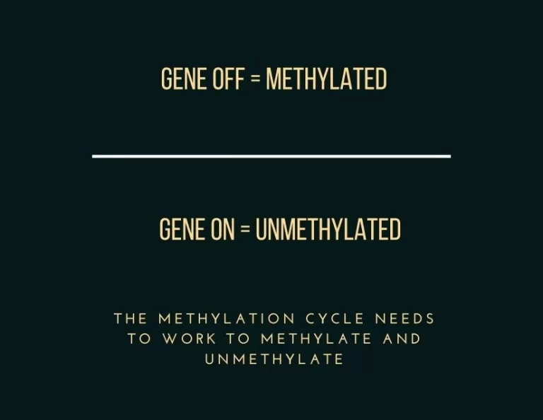 Why is methylation important? Gene Expression