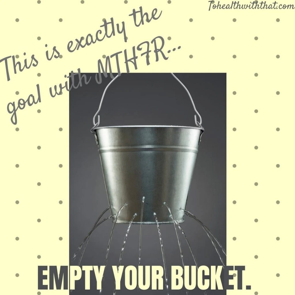 The Bucket Theory and MTHFR