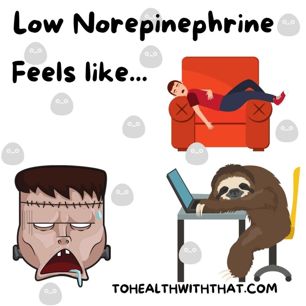 MTHFR and norepinephrine