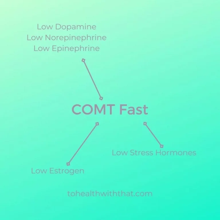 Low Estrogen and Stress Hormones with COMT fast