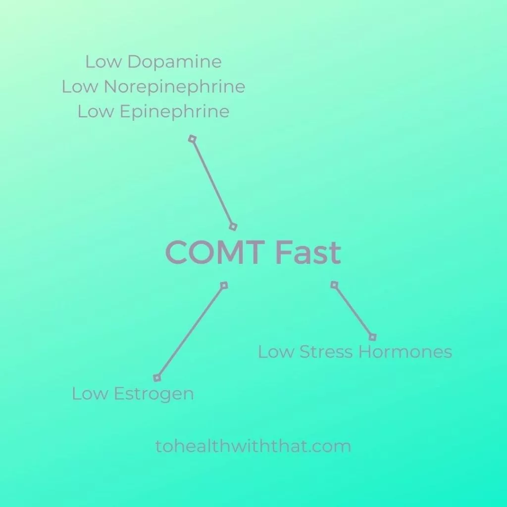 Low Estrogen and Stress Hormones with COMT fast