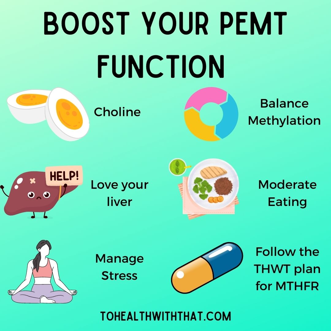 boost your PEMT function, PEMT and choline, PEMT and gallbladder,