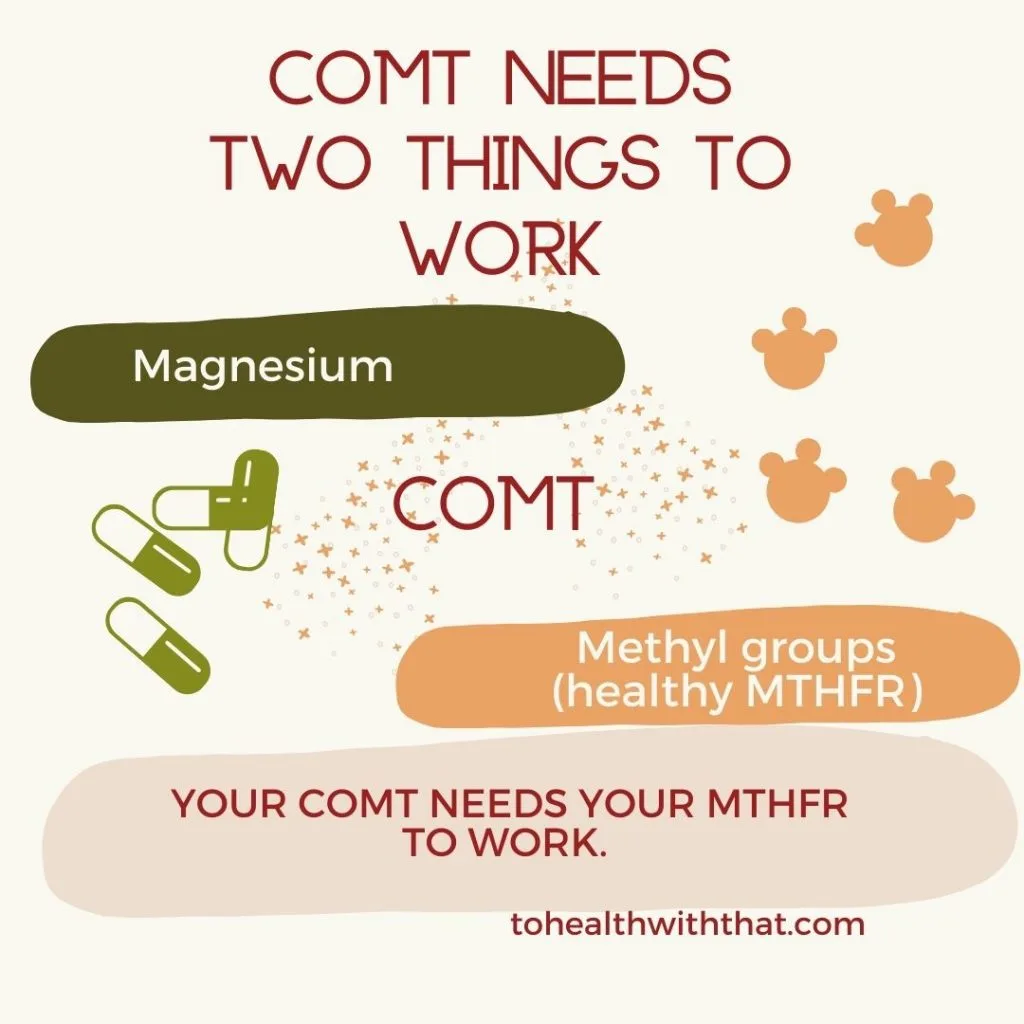  Both MTHFR and COMT