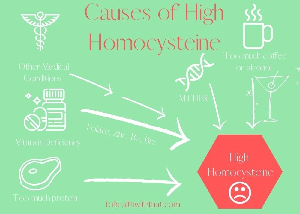 understanding causes of high homocysteine helps you lower homocysteine