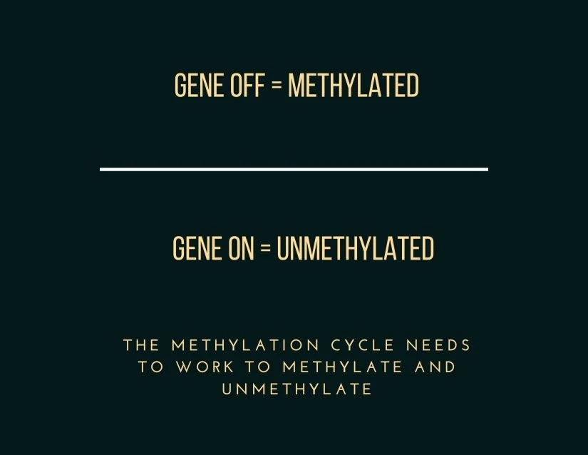 It is important to understand why methylation is so important. It is important to understand how genes are expressed
